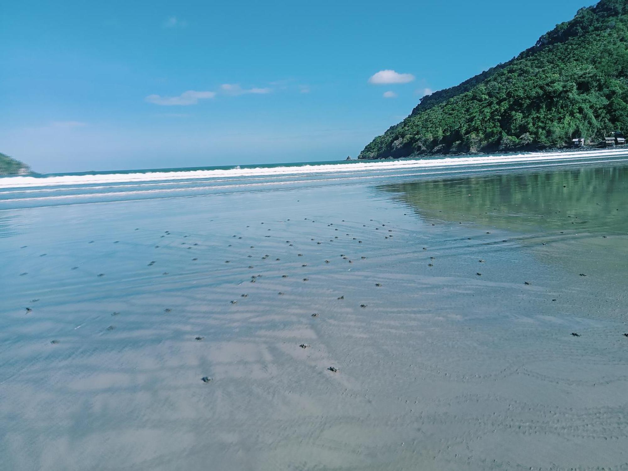 8 Star Paradise Locaroc Dış mekan fotoğraf